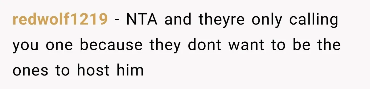 Autistic Brother Keeps Pregnant Sister Awake All Night, Family Says She Overreacted redwolf1219 − NTA and theyre only calling you one because they dont want to be the ones to host him