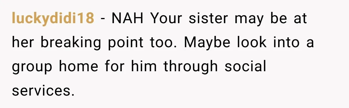 Autistic Brother Keeps Pregnant Sister Awake All Night, Family Says She Overreacted luckydidi18 − NAH Your sister may be at her breaking point too. Maybe look into a group home for him through social services.
