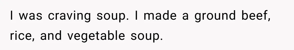 I was craving soup. I made a ground beef, rice, and vegetable soup.