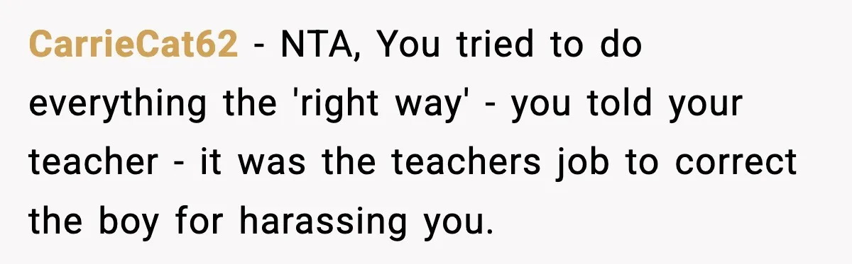 Girl Reports Homophobic Bullying For Months, Teacher Ignores It Until She Breaks Down Crying In Public CarrieCat62 − NTA, You tried to do everything the 'right way' - you told your teacher - it was the teachers job to correct the boy for harassing you.