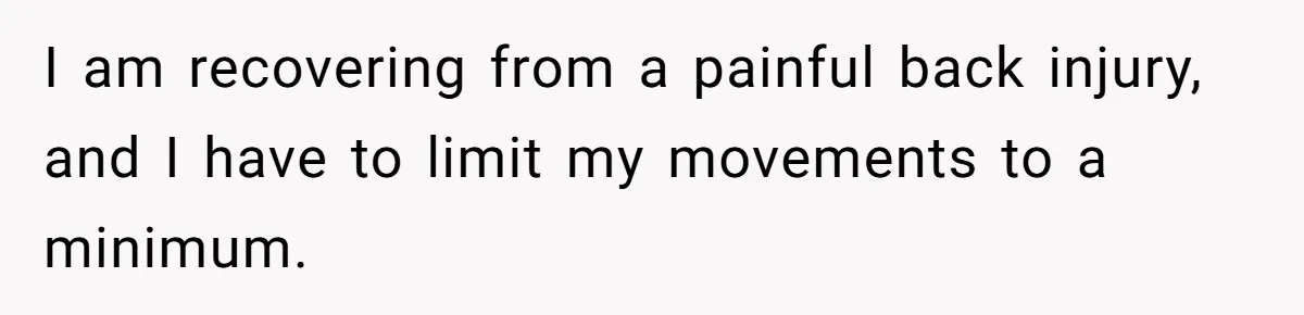 I am recovering from a painful back injury, and I have to limit my movements to a minimum.