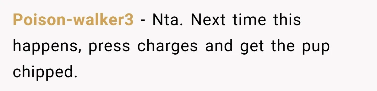 Poison-walker3 − Nta. Next time this happens, press charges and get the pup chipped.