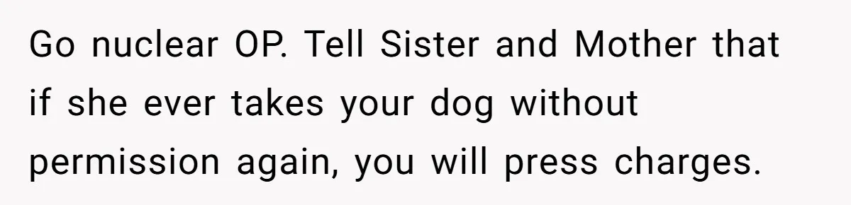 Go nuclear OP. Tell Sister and Mother that if she ever takes your dog without permission again, you will press charges.