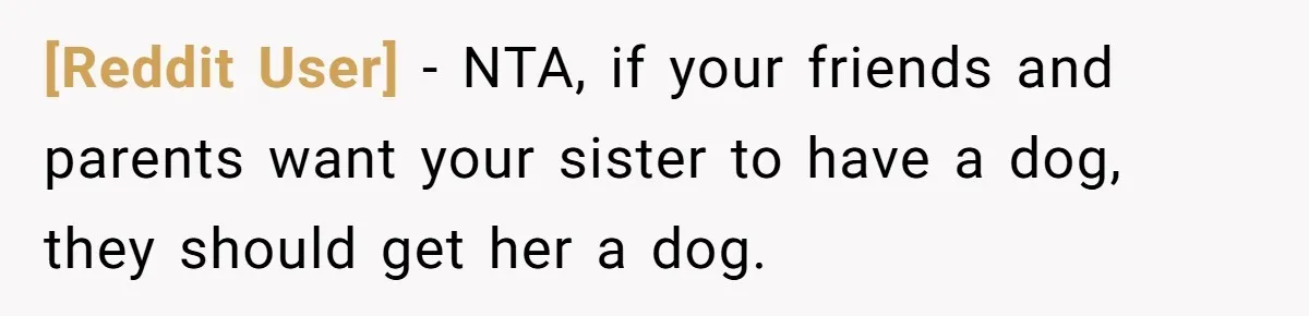 [Reddit User] − NTA, if your friends and parents want your sister to have a dog, they should get her a dog.