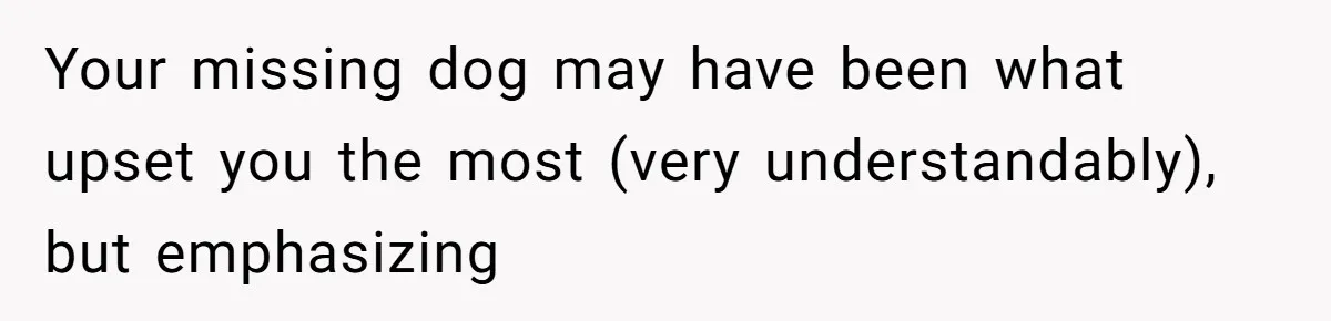 Your missing dog may have been what upset you the most (very understandably), but emphasizing
