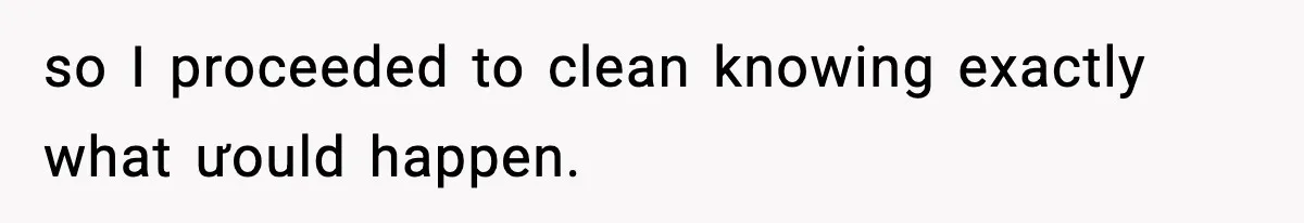 Woman Warns Cousin About Bleach, Cousin Ruins Her Own Laundry Anyway so I proceeded to clean knowing exactly what ưould happen.