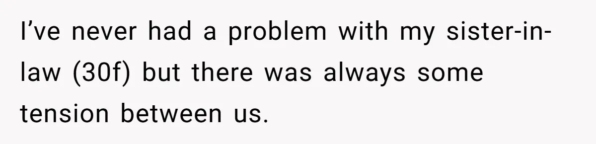 I’ve never had a problem with my sister-in-law (30f) but there was always some tension between us.