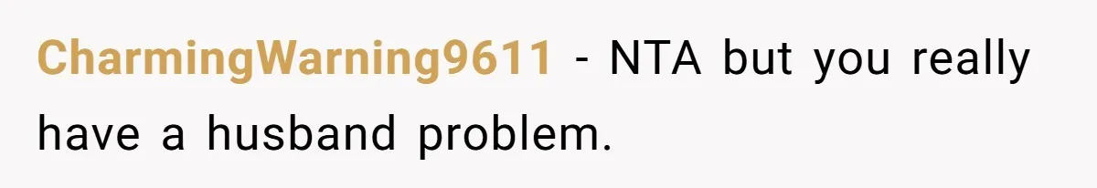 CharmingWarning9611 − NTA but you really have a husband problem.