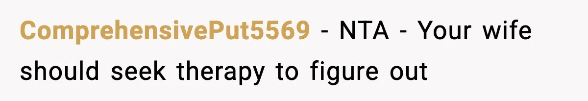 ComprehensivePut5569 − NTA - Your wife should seek therapy to figure out