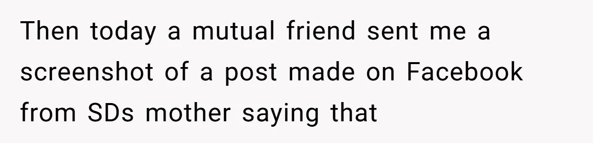 Husband Secretly Gave Away Toddler’s Ashes After Wife Said No, Calls It “Not A Big Deal” Then today a mutual friend sent me a screenshot of a post made on Facebook from SDs mother saying that