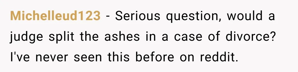 Husband Secretly Gave Away Toddler’s Ashes After Wife Said No, Calls It “Not A Big Deal” Michelleud123 − Serious question, would a judge split the ashes in a case of divorce? I've never seen this before on reddit.