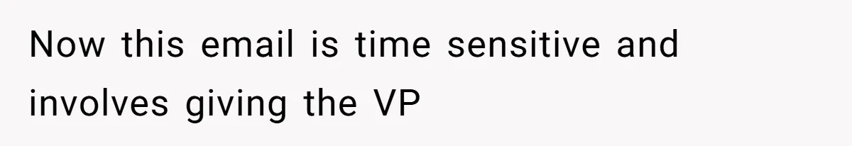 Boss Forbids Employee From Emailing Upper Management, So Her Own Rule Ends Up Exposing Her Now this email is time sensitive and involves giving the VP