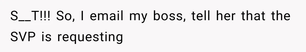 Boss Forbids Employee From Emailing Upper Management, So Her Own Rule Ends Up Exposing Her S__T!!! So, I email my boss, tell her that the SVP is requesting