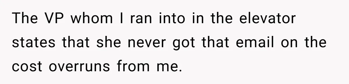 Boss Forbids Employee From Emailing Upper Management, So Her Own Rule Ends Up Exposing Her The VP whom I ran into in the elevator states that she never got that email on the cost overruns from me.