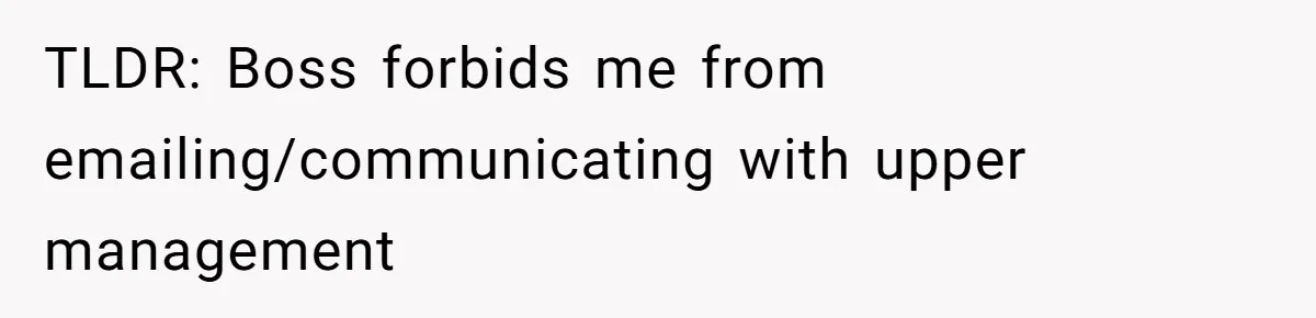 Boss Forbids Employee From Emailing Upper Management, So Her Own Rule Ends Up Exposing Her TLDR: Boss forbids me from emailing/communicating with upper management