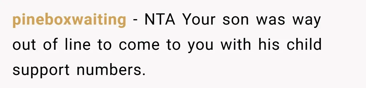 Teen And Dad Calculate Mom’s Child Support Income, She Fires Back With A Brutal Expense Receipt pineboxwaiting − NTA Your son was way out of line to come to you with his child support numbers.