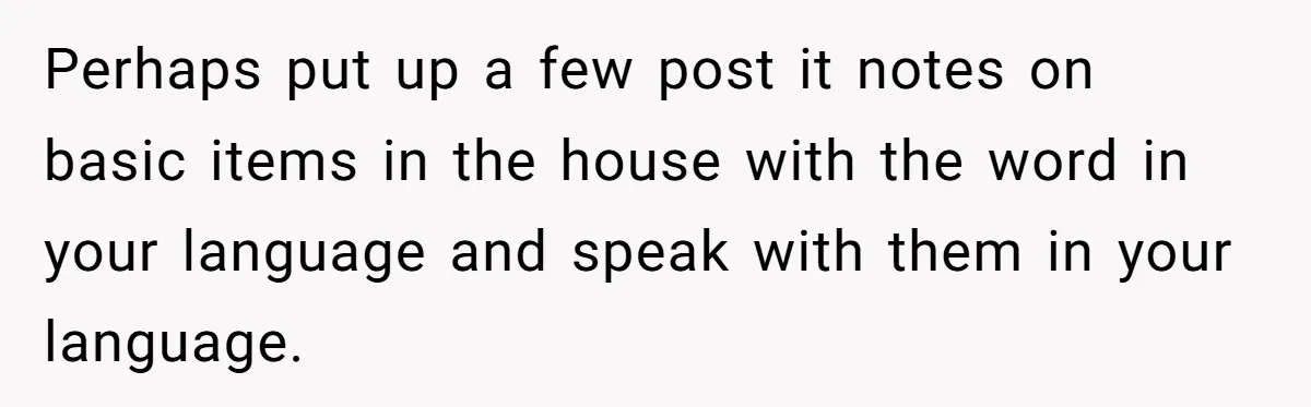 How One Parent’s Attempt to Keep Their Culture Alive Became a Source of Sibling Bitterness Perhaps put up a few post it notes on basic items in the house with the word in your language and speak with them in your language.