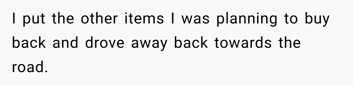 I put the other items I was planning to buy back and drove away back towards the road.