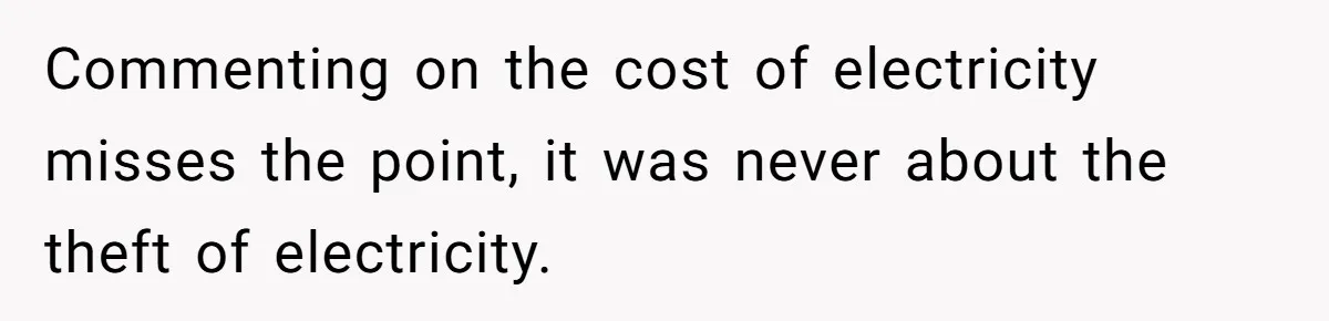 Commenting on the cost of electricity misses the point, it was never about the theft of electricity.