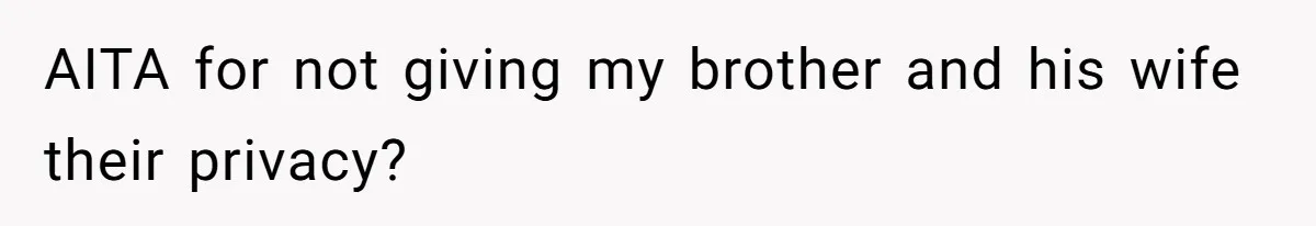 AITA for not giving my brother and his wife their privacy?