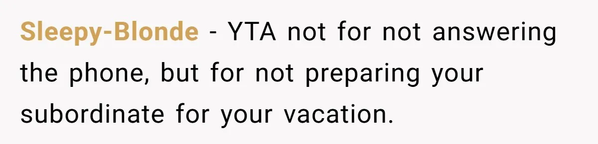 Supervisor Refuses To Answer Emails On Beach Vacation, Returns To Office Chaos Sleepy-Blonde − YTA not for not answering the phone, but for not preparing your subordinate for your vacation.