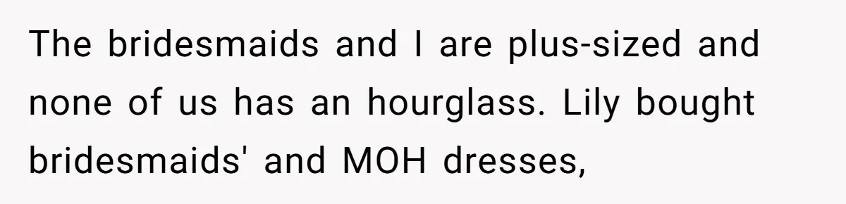 The bridesmaids and I are plus-sized and none of us has an hourglass. Lily bought bridesmaids' and MOH dresses,