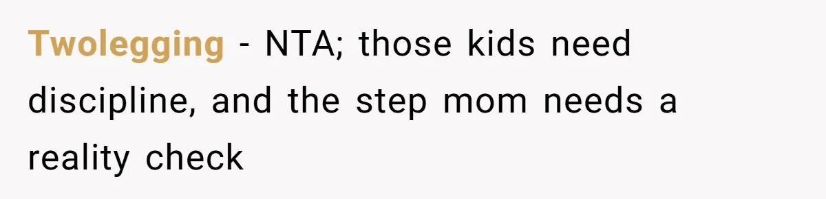 Twolegging − NTA; those kids need discipline, and the step mom needs a reality check