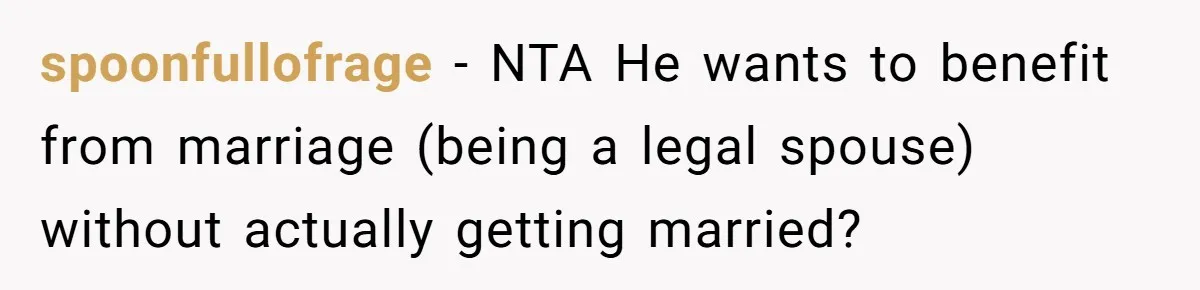 spoonfullofrage − NTA He wants to benefit from marriage (being a legal spouse) without actually getting married?