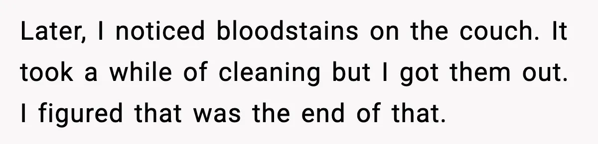 Later, I noticed bloodstains on the couch. It took a while of cleaning but I got them out. I figured that was the end of that.