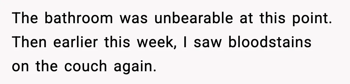 The bathroom was unbearable at this point. Then earlier this week, I saw bloodstains on the couch again.
