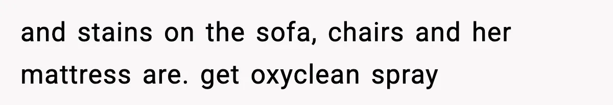 and stains on the sofa, chairs and her mattress are. get oxyclean spray
