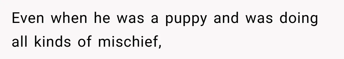 Even when he was a puppy and was doing all kinds of mischief,