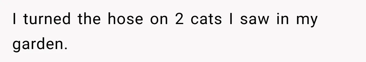 I turned the hose on 2 cats I saw in my garden.
