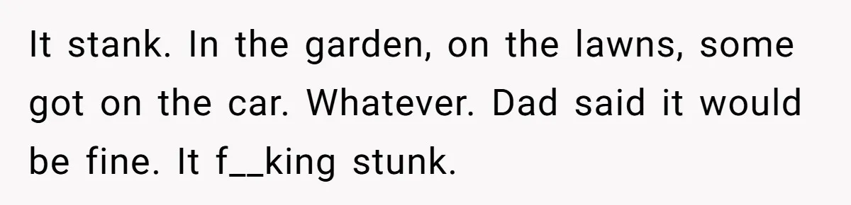 It stank. In the garden, on the lawns, some got on the car. Whatever. Dad said it would be fine. It f__king stunk.