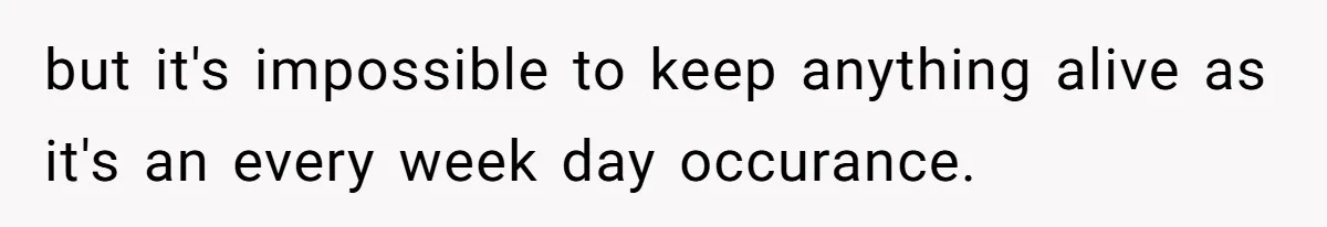 but it's impossible to keep anything alive as it's an every week day occurance.