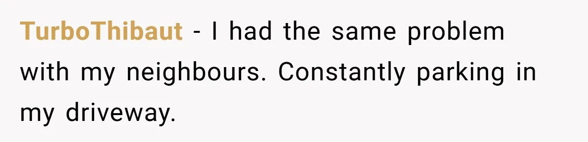 TurboThibaut − I had the same problem with my neighbours. Constantly parking in my driveway.