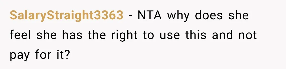 SalaryStraight3363 − NTA why does she feel she has the right to use this and not pay for it?