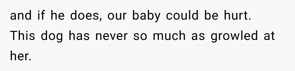 Dad Won’t Break Son’s Heart By Rehoming Dog, Even As Pregnant Wife Calls Him Selfish and if he does, our baby could be hurt. This dog has never so much as growled at her.