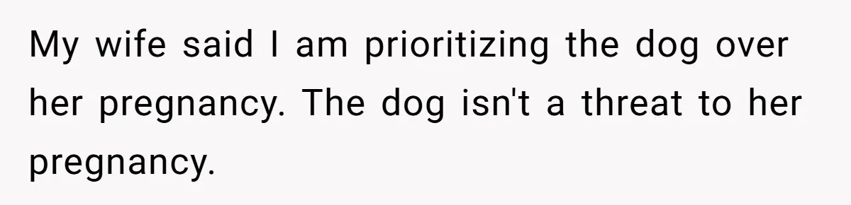 Dad Won’t Break Son’s Heart By Rehoming Dog, Even As Pregnant Wife Calls Him Selfish My wife said I am prioritizing the dog over her pregnancy. The dog isn't a threat to her pregnancy.