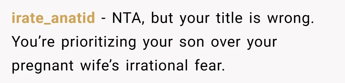 Dad Won’t Break Son’s Heart By Rehoming Dog, Even As Pregnant Wife Calls Him Selfish irate_anatid − NTA, but your title is wrong. You’re prioritizing your son over your pregnant wife’s irrational fear.