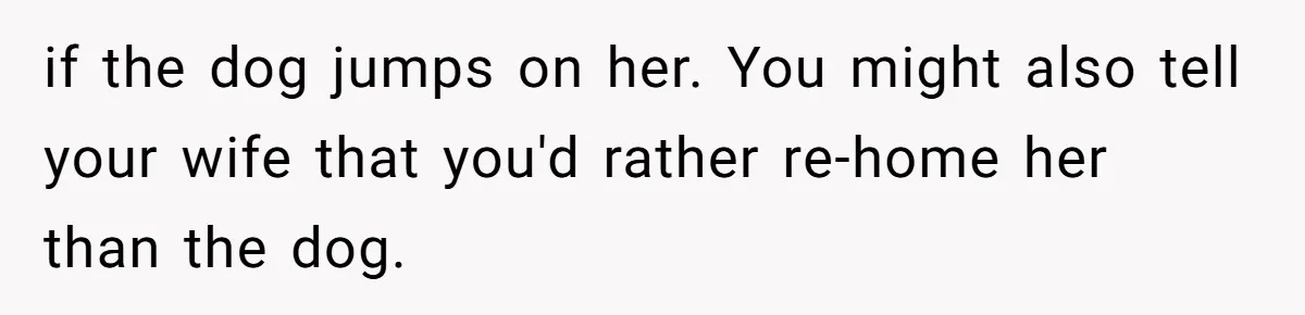 Dad Won’t Break Son’s Heart By Rehoming Dog, Even As Pregnant Wife Calls Him Selfish if the dog jumps on her. You might also tell your wife that you'd rather re-home her than the dog.