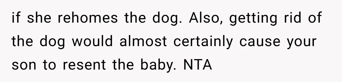 Dad Won’t Break Son’s Heart By Rehoming Dog, Even As Pregnant Wife Calls Him Selfish if she rehomes the dog. Also, getting rid of the dog would almost certainly cause your son to resent the baby. NTA