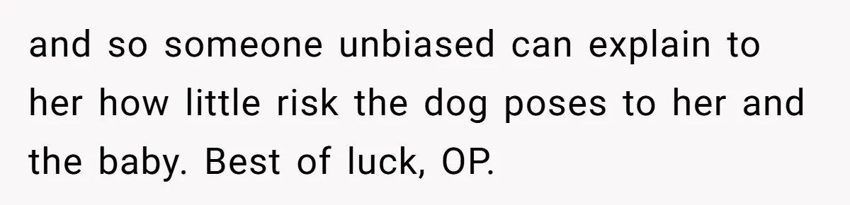 Dad Won’t Break Son’s Heart By Rehoming Dog, Even As Pregnant Wife Calls Him Selfish and so someone unbiased can explain to her how little risk the dog poses to her and the baby. Best of luck, OP.