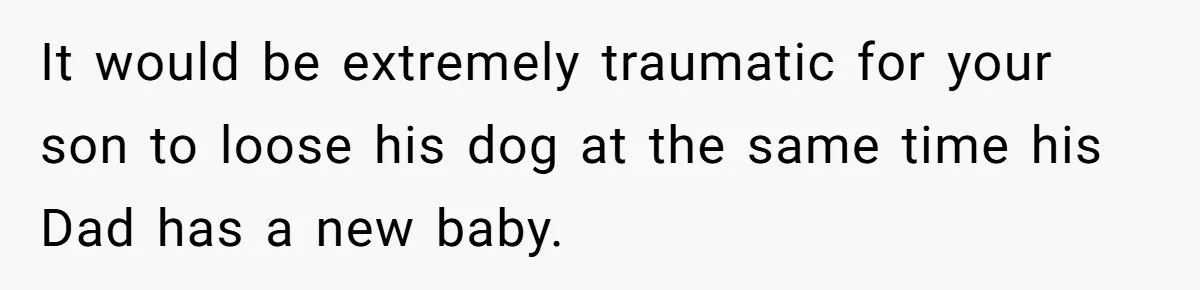 Dad Won’t Break Son’s Heart By Rehoming Dog, Even As Pregnant Wife Calls Him Selfish It would be extremely traumatic for your son to loose his dog at the same time his Dad has a new baby.
