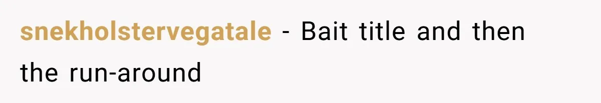 snekholstervegatale − Bait title and then the run-around