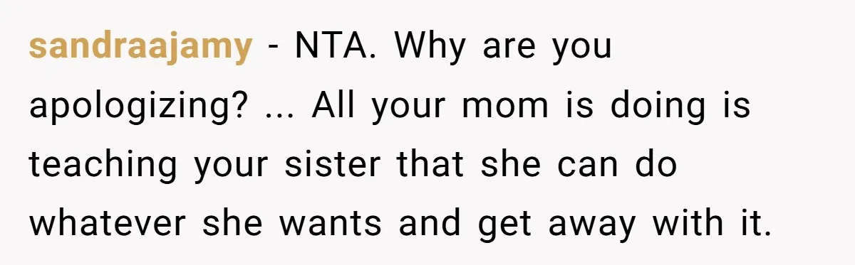 sandraajamy − NTA. Why are you apologizing? ... All your mom is doing is teaching your sister that she can do whatever she wants and get away with it.