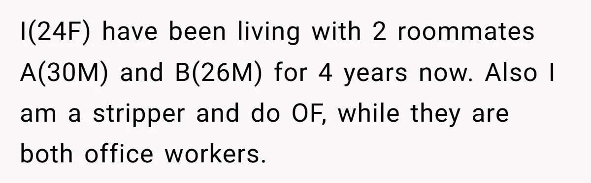 I(24F) have been living with 2 roommates A(30M) and B(26M) for 4 years now. Also I am a stripper and do OF, while they are both office workers.
