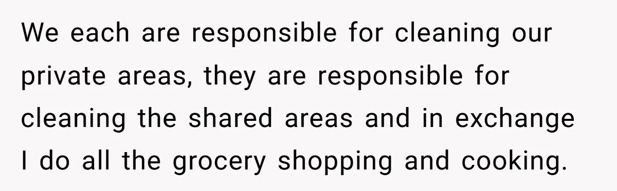 We each are responsible for cleaning our private areas, they are responsible for cleaning the shared areas and in exchange I do all the grocery shopping and cooking.