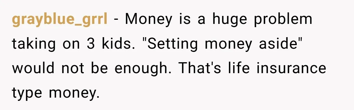 grayblue_grrl − Money is a huge problem taking on 3 kids. "Setting money aside" would not be enough. That's life insurance type money.