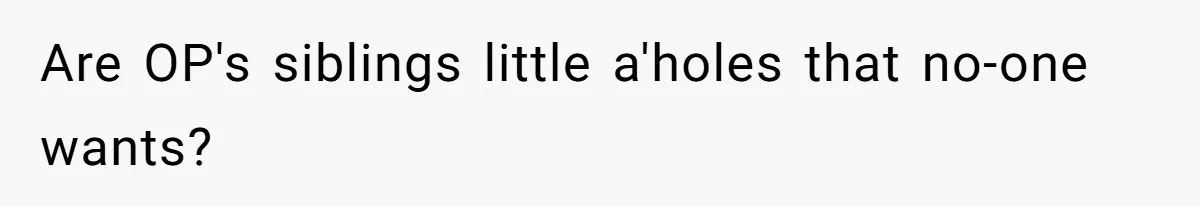 Are OP's siblings little a'holes that no-one wants?